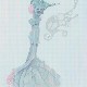 小散